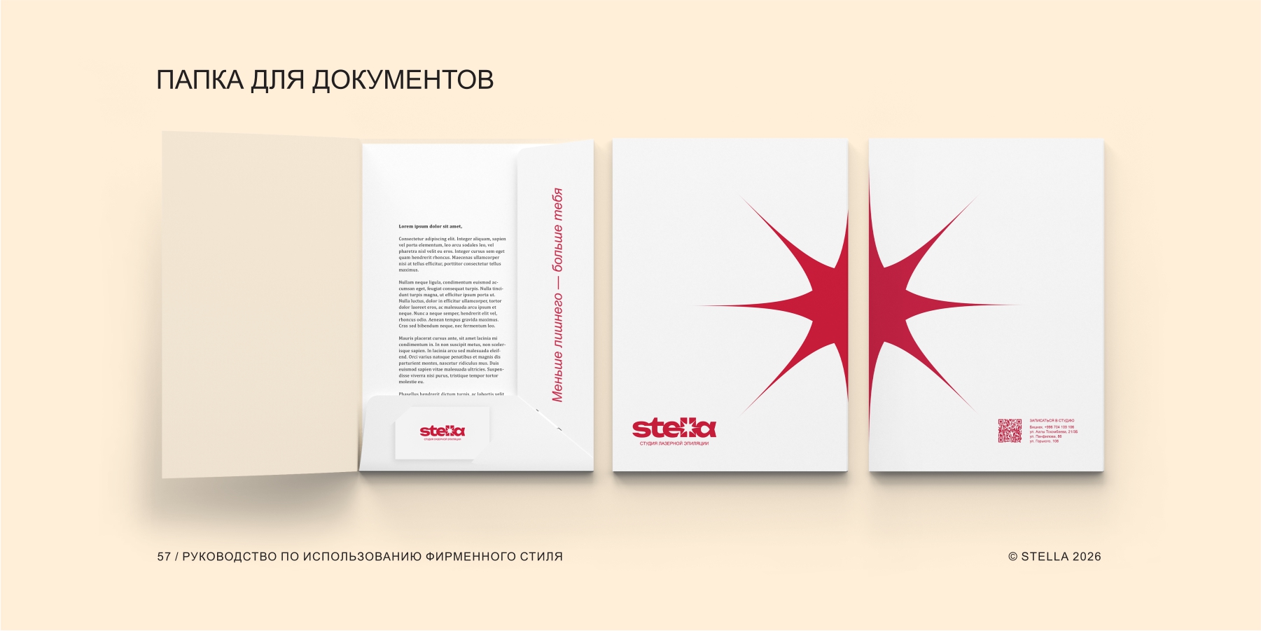 Кейс STELLA: от идеи до гайдбука