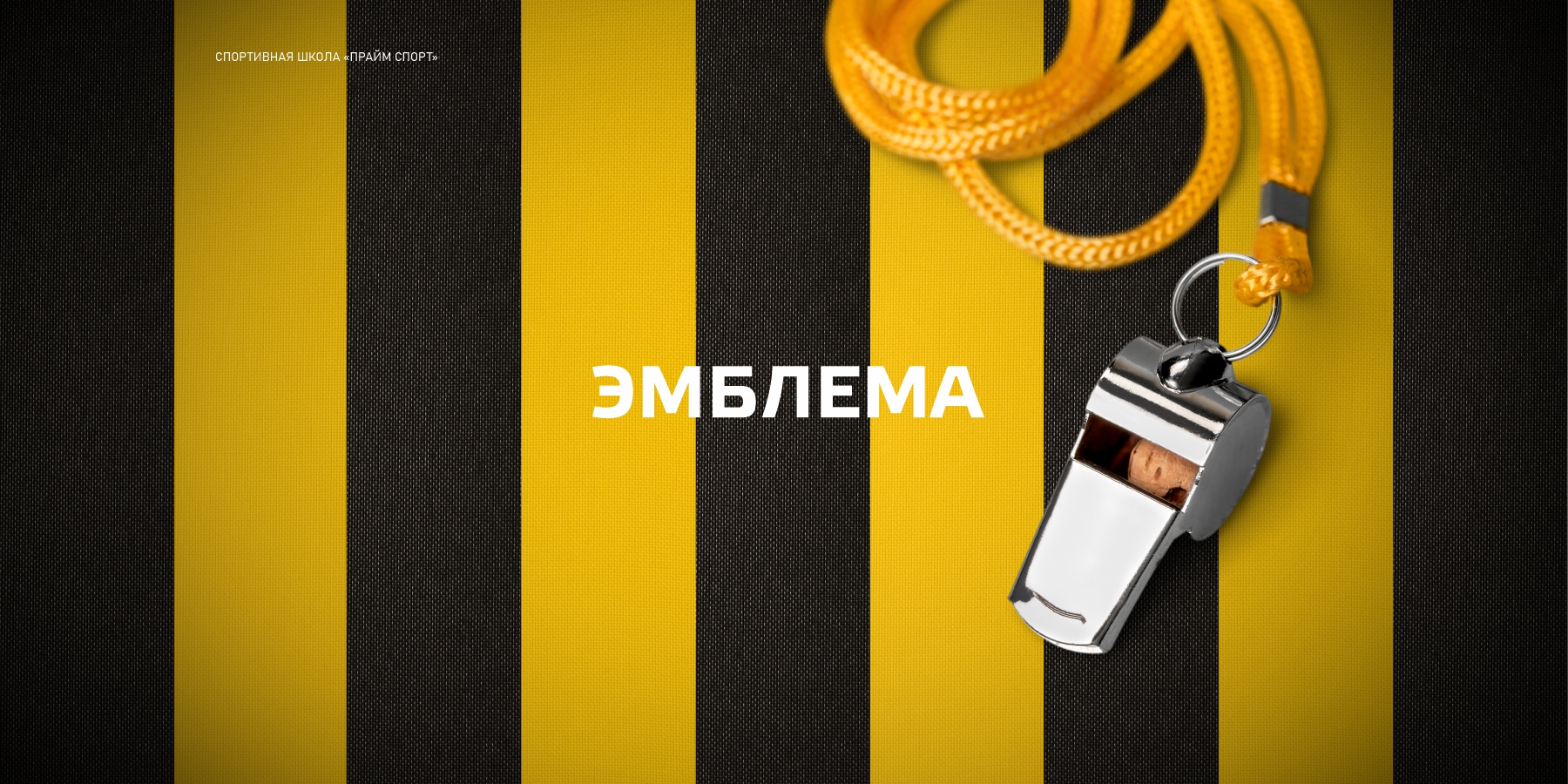 Разработка эмблемы, логотипа / логобука, промо и мерч продукции для спортивной школы «Прайм Спорт»